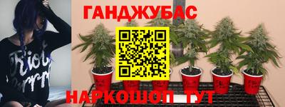 мескалин Дубна