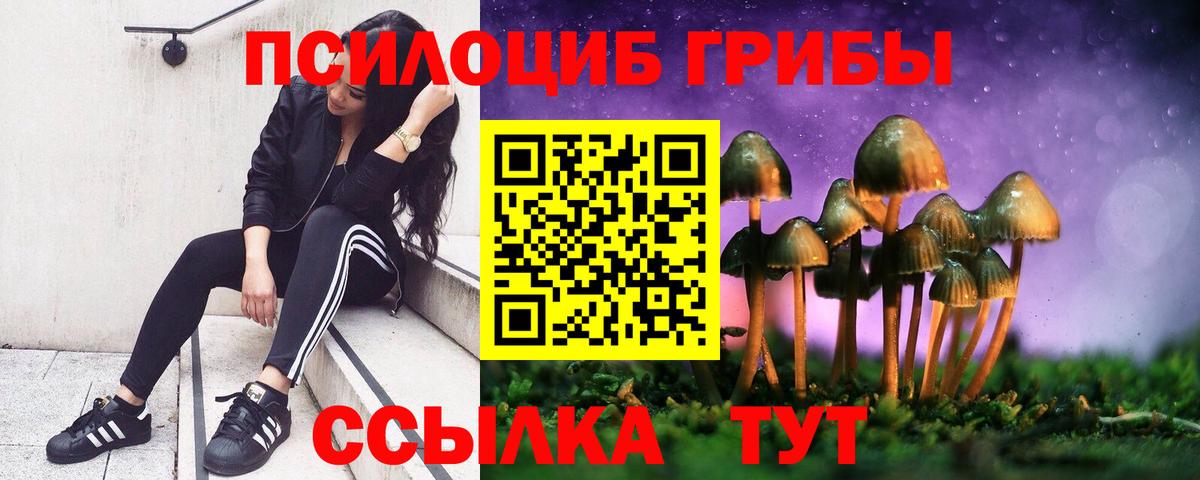 Псилоцибиновые грибы Cubensis Луга