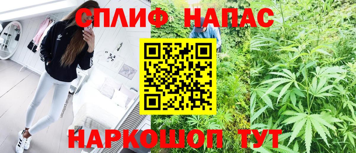 Марихуана планчик  Шишки марихуана индика  Вход с VPN  Бошки Шишки сатива  Луга 